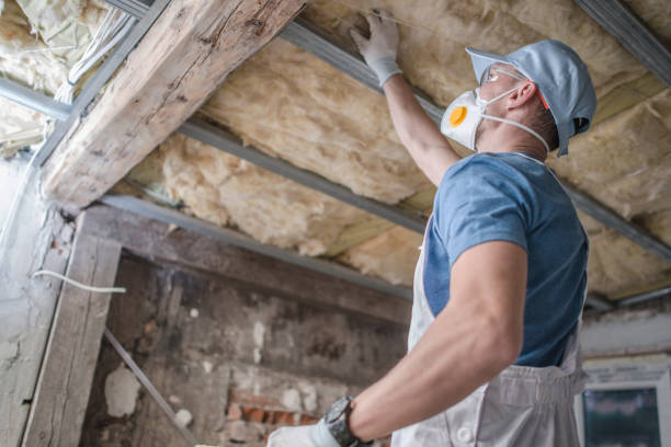 Trusted Whitehall, OH Insulation Contractor Experts